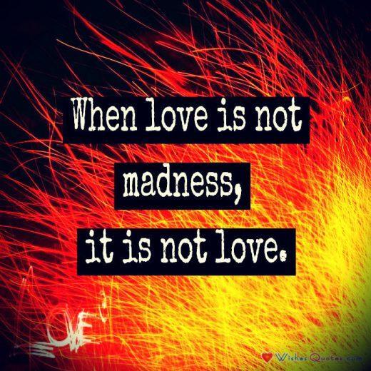 Love Is Madness