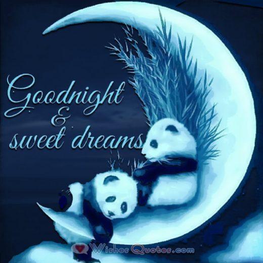 Goodnight and Sweet Dreams