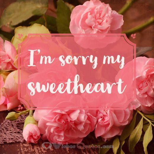 Im Sorry Message