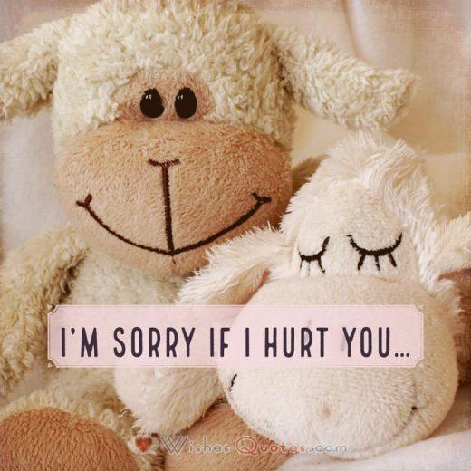 Sorry If I Hurt You