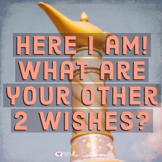 Here I am! What are your other 2 wishes?